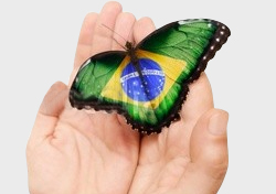 Racismo e Preconceito Tiram o Brasil do Rumo do Sucesso - AntonioBorba.com Racismo e Preconceito Tiram o Brasil do Rumo do Sucesso - AntonioBorba.com
