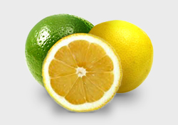 Lemon, Lime e Key Lime - AntonioBorba.com