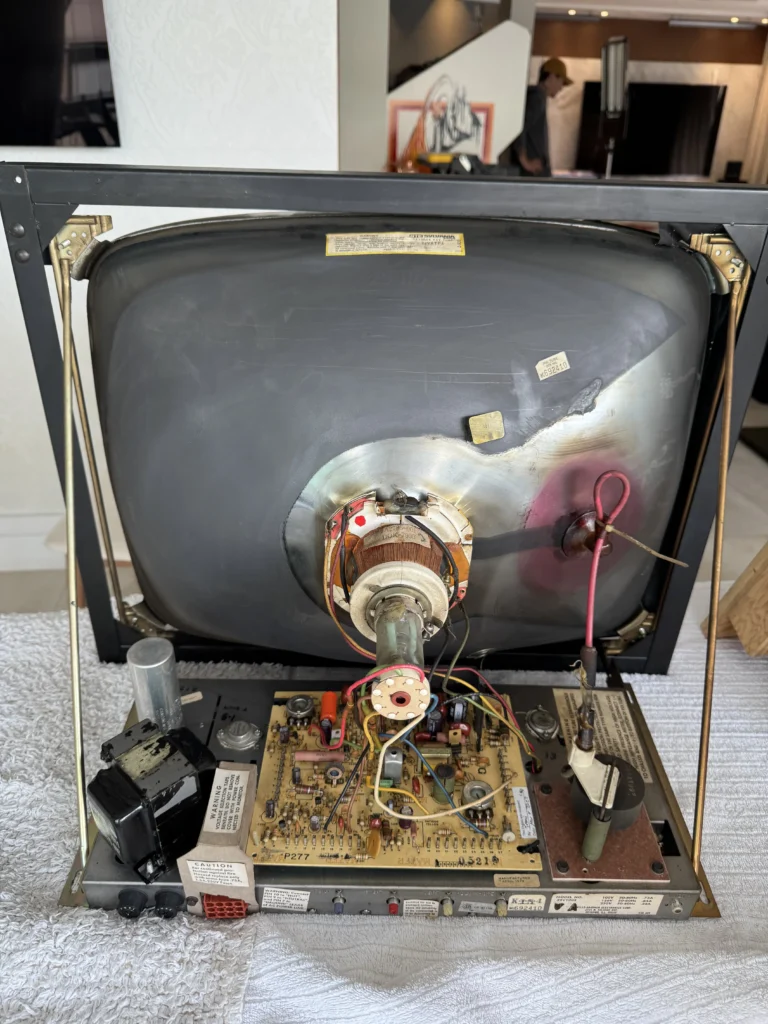 Atari Video Pinball Arcade - Wells-Gardner 19v1001 B&W Monitor