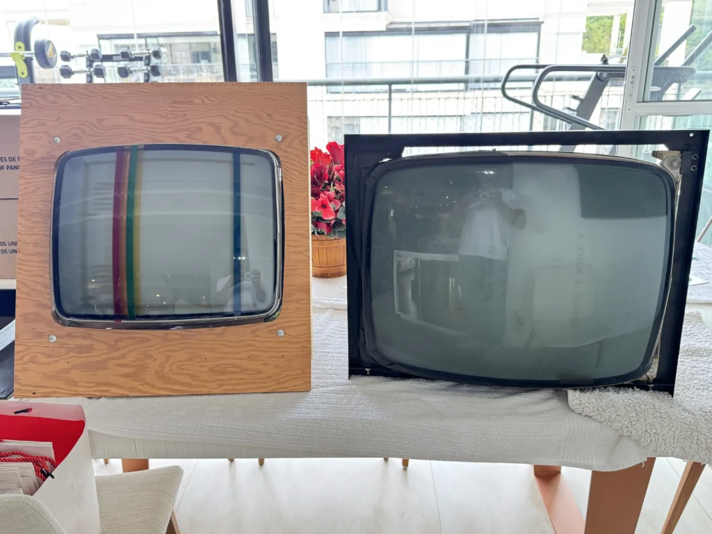 Atari Video Pinball Arcade - Wells-Gardner 19v1001 B&W Monitor